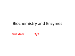 Biochemistry and Enzymes