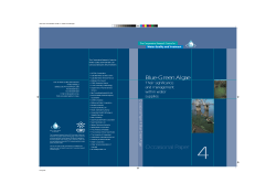 Occasional Paper Blue-Green Algae