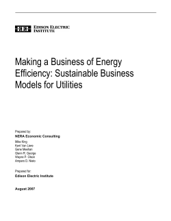 making a business of energy efficiency