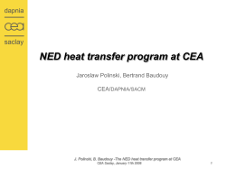 NED heat transfer program at CEA - CEA-Irfu