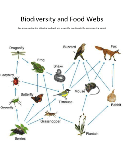 Biodiversity and Food Webs As a group, review the following food