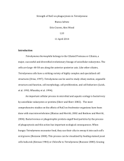 Strength of NaCl on phagocytosis in Tetrahymena Bianca Iafrate