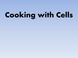 Cooking with Cells - MisterSyracuse.com