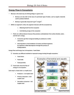 Chp 2 Notes