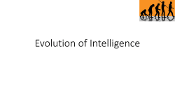 Evolution of Intelligence