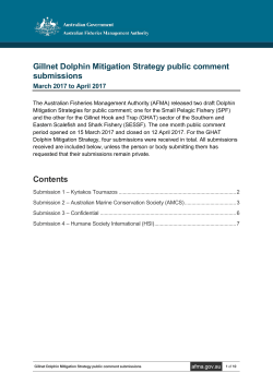 Gillnet Dolphin Mitigation Strategy public comment submissions