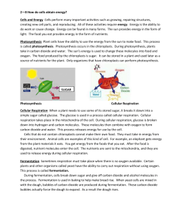 2&mdash;8 How do cells obtain energy? Cells and Energy Cells perform