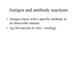 Nature of Ag/Ab Reactions