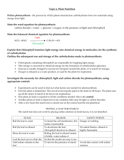 Topic 6 revision notes - Mr Cartlidge`s Saigon Science Blog