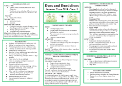 Dens and Dandelions CF