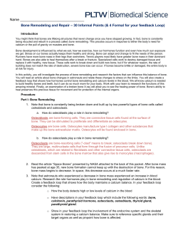 A5.2.3.BoneRemodel - Belle Vernon Area School District