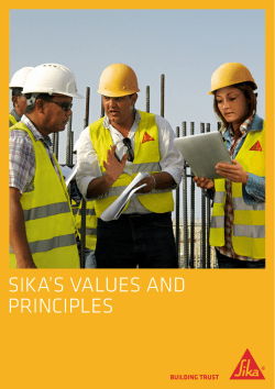 Sikas Values and Principles