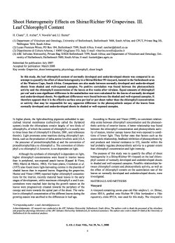 Shoot Heterogeneity Effects on Shiraz/Richter 99 Grapevines. III