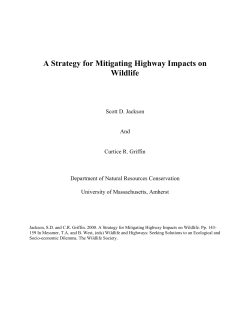 A Strategy for Mitigating Highway Impacts on