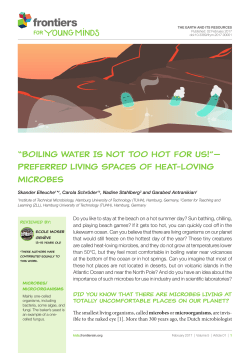 Figure 1 - Frontiers