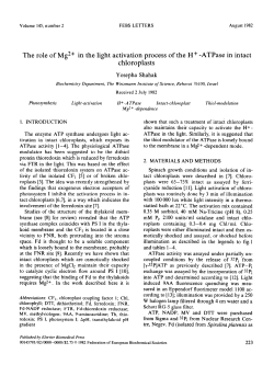 The role of Mg2+ in the light activation process of the H+
