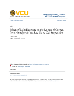 Effects of Light Exposure on the Release of Oxygen from