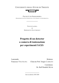 Progetto di un detector a camera di ionizzazione