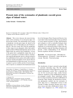 Present state of the systematics of planktonic coccoid green algae of