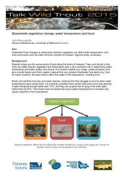 Bankside vegetation and water temperature study summary [MS