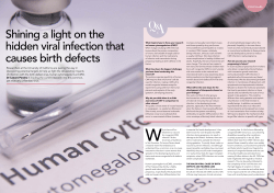 Shining a light on the hidden viral infection that causes birth defects