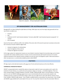 epi management for australian dogs enzymes
