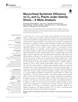 Mycorrhizal Symbiotic Efficiency on C3 and C4 Plants