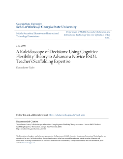 A Kaleidoscope of Decisions: Using Cognitive Flexibility Theory to