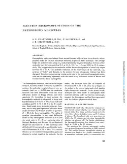 ELECTRON MICROSCOPE STUDIES ON THE HAEMOGLOBIN