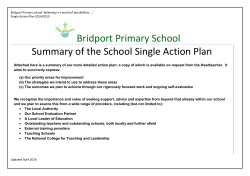 Bridport Primary School Summary of the School Single Action Plan