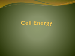 Cell Energy