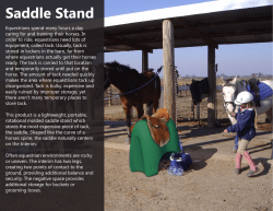 Interim Interim Saddle Stand