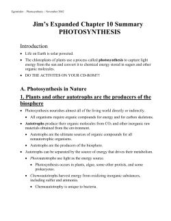 chapter 10 photosynthesis