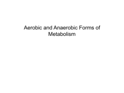 Aerobic and Anaerobic forms of Metabolism