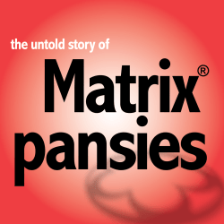 The Untold Story of Matrix Pansies