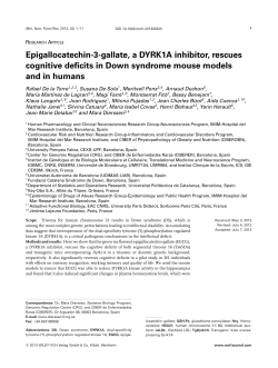Epigallocatechin-3-gallate, a DYRK1A inhibitor, rescues cognitive