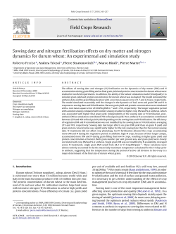 Sowing date and nitrogen fertilisation effects on dry