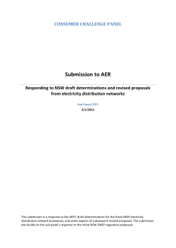 Submission on NSW DNSPs draft decisions