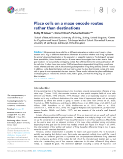 Place cells on a maze encode routes rather than destinations | eLife