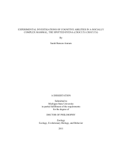 EXPERIMENTAL INVESTIGATIONS OF COGNITIVE ABILITIES IN A