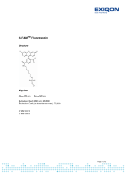 6-FAM Fluorescein