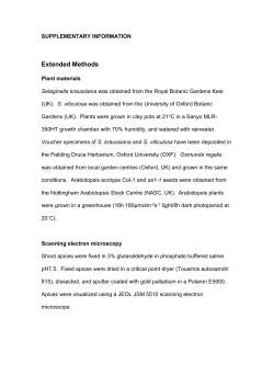 supplementary information