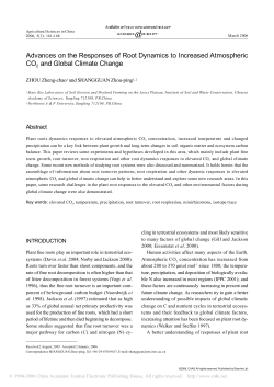 Advances on the Responses of Root Dynamics to Increased