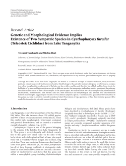 Genetic and Morphological Evidence Implies Existence of Two