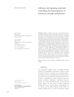 Adhesion and signaling molecules controlling the transmigration of
