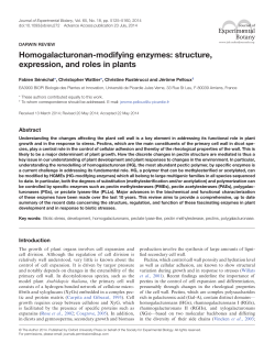 structure, expression, and roles in plants
