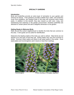 Specialty Gardens Plant A Seed, Watch It Grow Master Gardener