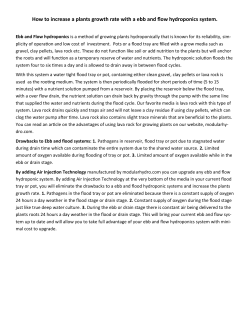 How to increase a plants growth rate with a ebb and flow