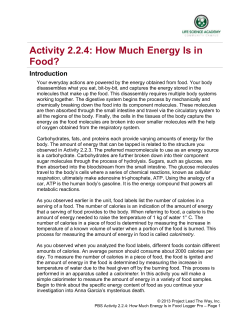 Activity 2.2.4: How Much Energy Is in Food?