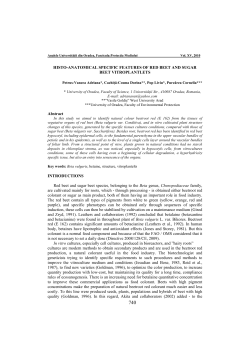 HISTO-ANATOMICAL SPECIFIC FEATURES OF RED BEET AND